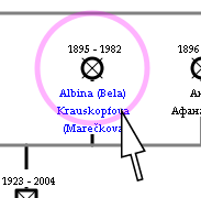 genogram example